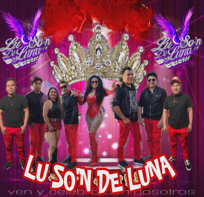 Lu So'n de Luna logo